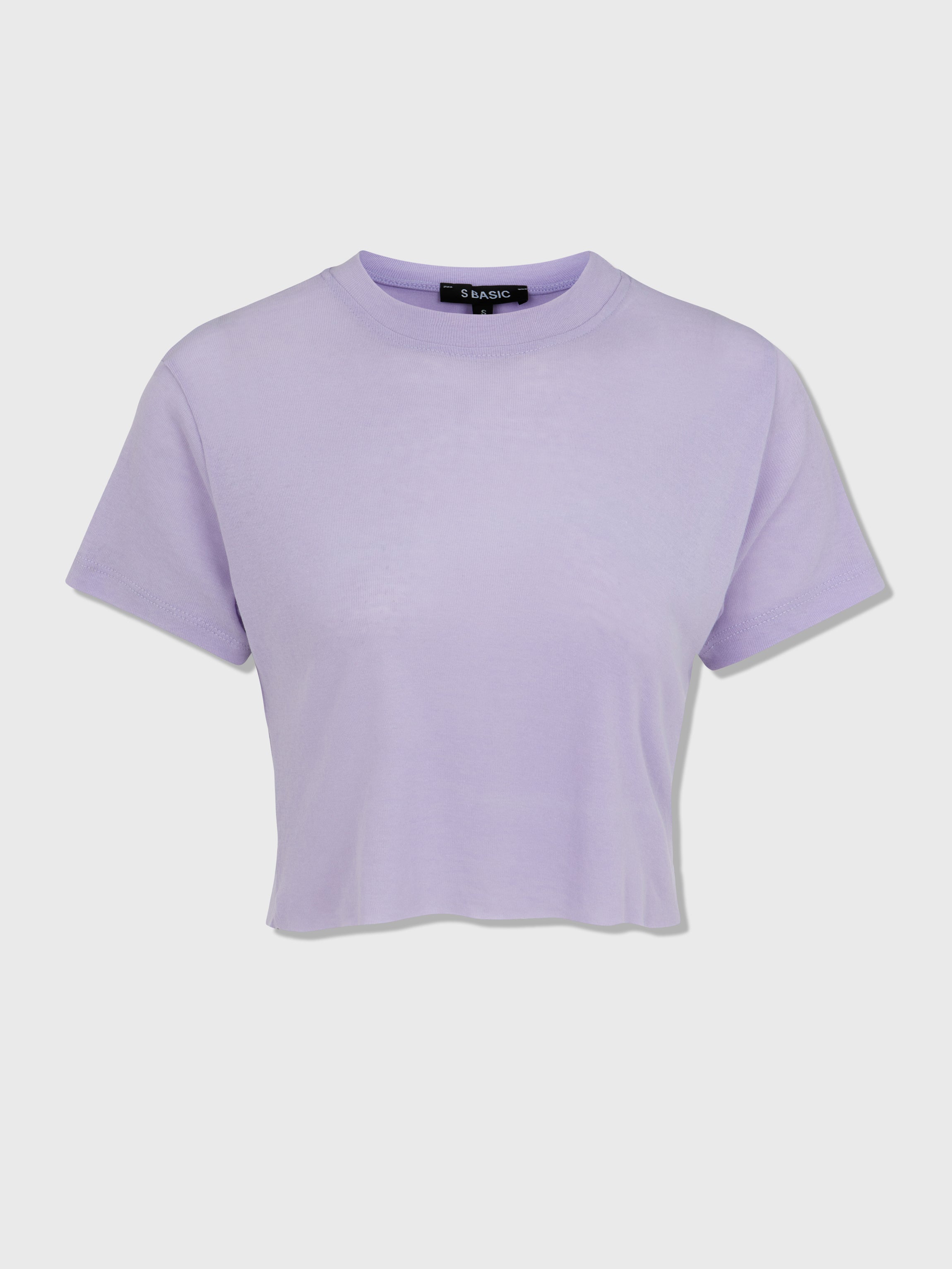 ANNE | Purple